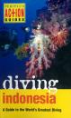Скачать Diving Indonesia Periplus Adventure Guid - David Pickell
