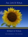 Скачать All Life Is Yoga: What is Yoga - Sri Aurobindo