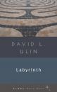 Скачать Labyrinth - David L. Ulin