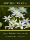 Скачать Sri Aurobindo Ashram - Sri Aurobindo