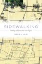 Скачать Sidewalking - David L. Ulin