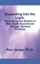 Скачать Expanding into the Light: - Ron Jones