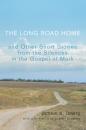 Скачать The Long Road Home and Other Short Stories from the Silences in the Gospel of Mark - James S. Lowry