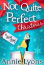 Скачать A Not Quite Perfect Christmas - Annie  Lyons