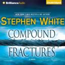 Скачать Compound Fractures - Stephen  White