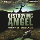 Скачать Destroying Angel - Michael  Wallace