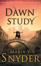 Скачать Dawn Study - Maria V. Snyder