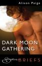 Скачать Dark Moon Gathering - Alison Paige
