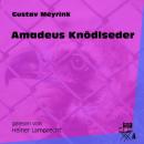 Скачать Amadeus Knödlseder (Ungekürzt) - Gustav Meyrink