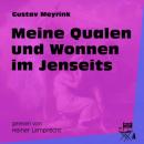 Скачать Meine Qualen und Wonnen im Jenseits (Ungekürzt) - Gustav Meyrink