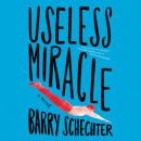 Скачать Useless Miracle (Unabridged) - Barry Schechter