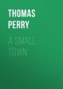 Скачать A Small Town - Thomas  Perry