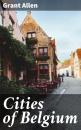 Скачать Cities of Belgium - Allen Grant