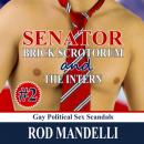 Скачать Senator Brick Scrotorum and the Intern - Gay Political Sex Scandals, book 2 (Unabridged) - Rod Mandelli