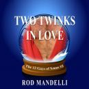 Скачать Two Twinks In Love - 12 Gays of Xmas, book 2 (Unabridged) - Rod Mandelli