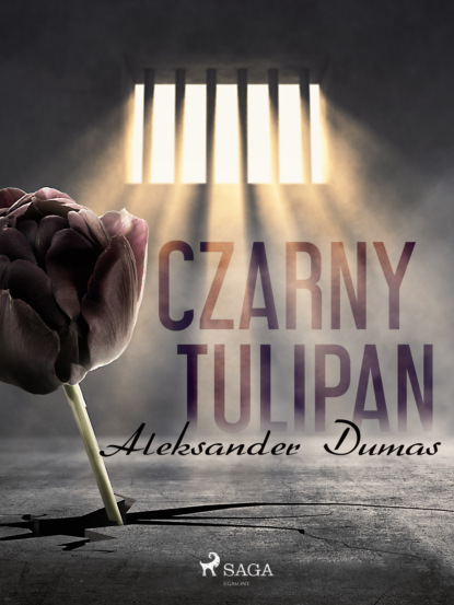 Скачать Czarny tulipan - Aleksander Dumas