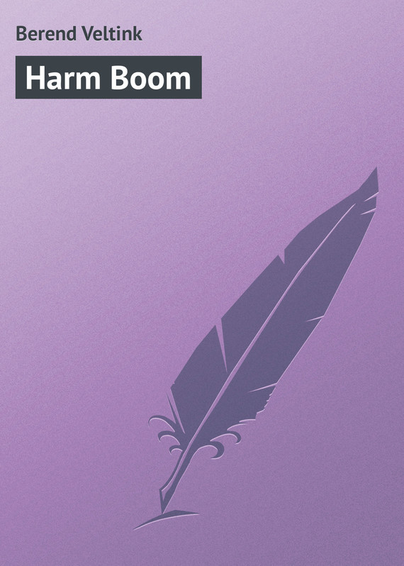 Скачать Harm Boom - Berend Veltink