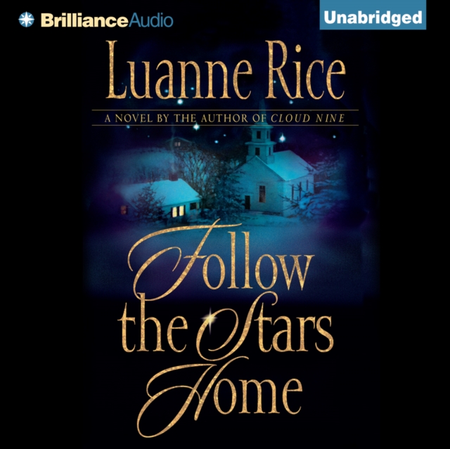 Скачать Follow the Stars Home - Luanne  Rice