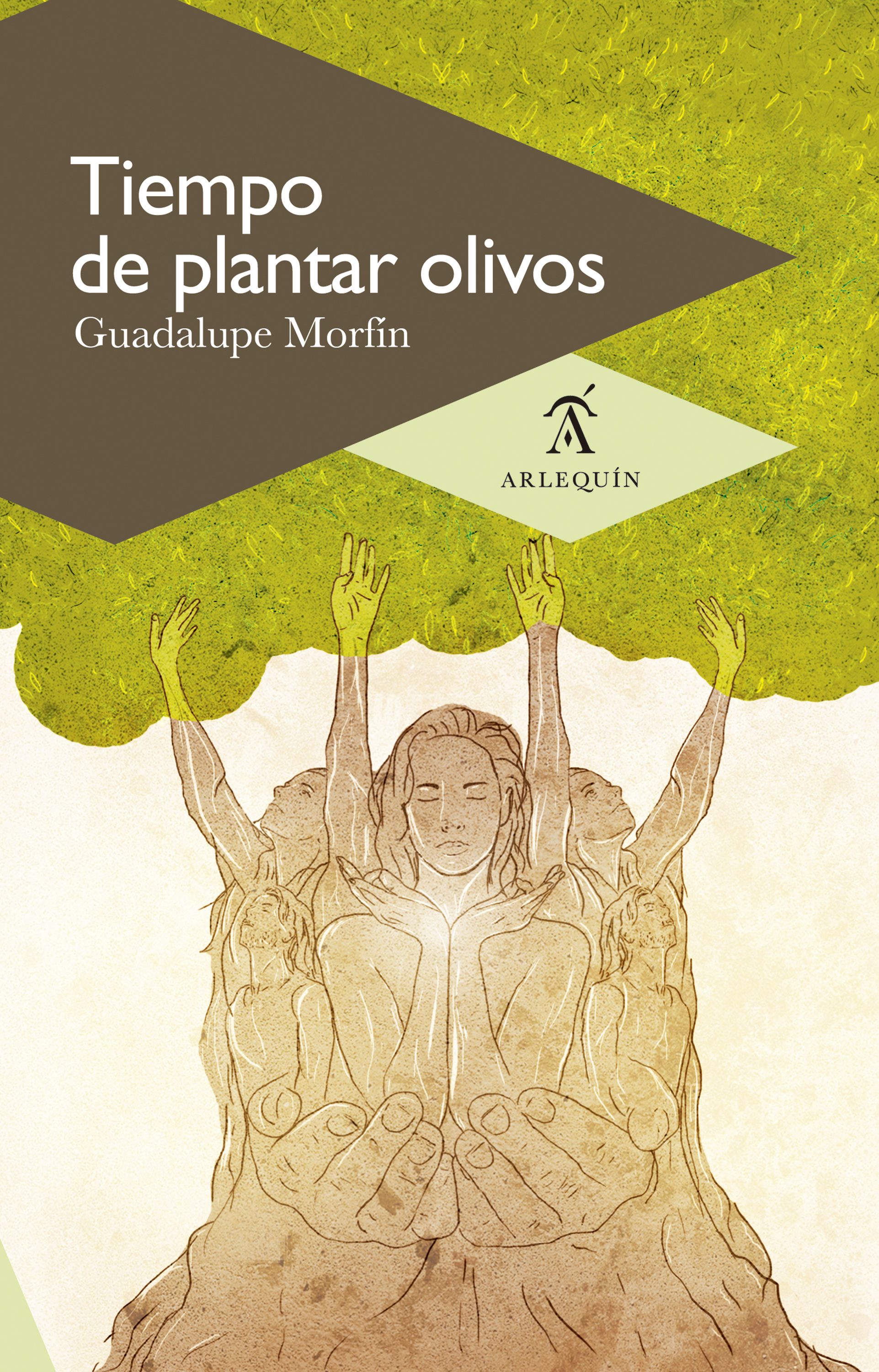Скачать Tiempo de plantar olivos - Guadalupe MorfÃ­n