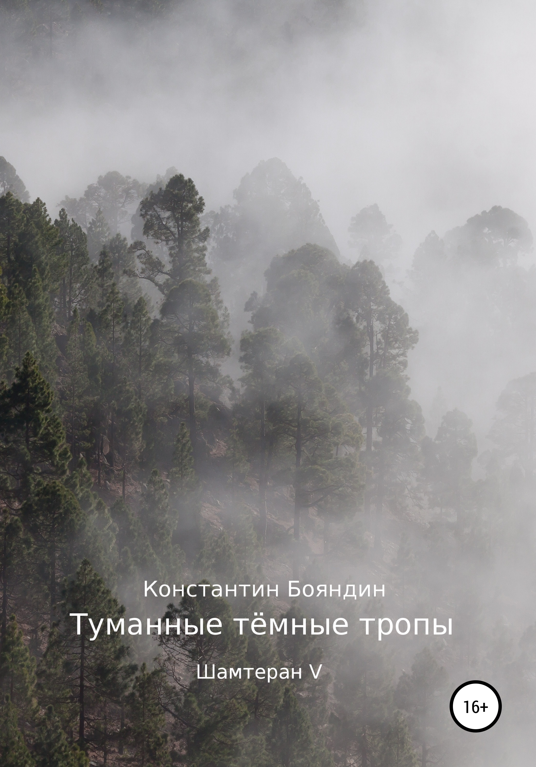 Скачать Туманные тёмные тропы - Константин Бояндин