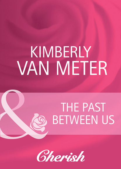 Скачать The Past Between Us - Kimberly Van Meter