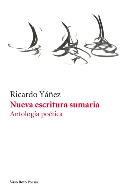Скачать Nueva escritura sumaria - Ricardo Yáñez