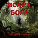 Скачать Искра Бога - Евгений Прядеев