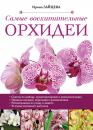 Скачать Самые восхитительные орхидеи - Ирина Зайцева
