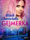 Скачать Gejmerka – opowiadanie erotyczne - Black Chanterelle