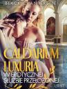 Скачать Caldarium Luxuria – w erotycznej służbie przełożonej - Black Chanterelle
