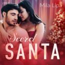 Скачать Secret Santa – opowiadanie erotyczne - Mila Lipa