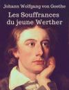 Скачать Les Souffrances du jeune Werther (En lettres d'ancre) - Johann Wolfgang von Goethe