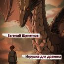 Скачать Игрушка для дракона - Евгений Щепетнов
