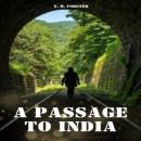 Скачать A Passage to India (Unabridged) - E. M. Forster