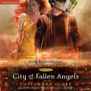 Скачать City of Fallen Angels - Cassandra Clare