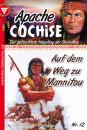 Скачать Apache Cochise 12 – Western - John Montana