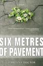 Скачать Six Metres of Pavement - Farzana Doctor