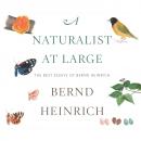 Скачать A Naturalist at Large - The Best Essays of Bernd Heinrich (Unabridged) - Bernd  Heinrich