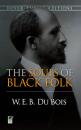 Скачать The Souls of Black Folk - W. E. B. Du Bois