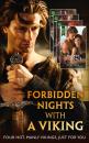 Скачать Forbidden Nights With A Viking - Michelle Willingham