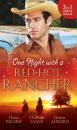 Скачать One Night with a Red-Hot Rancher - Diana Palmer