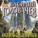 Скачать Крепость большого леса - Василий Головачев