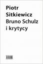 Скачать Bruno Schulz i krytycy - Piotr Sitkiewicz