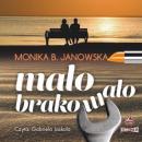Скачать Mało brakowało - Monika B. Janowska